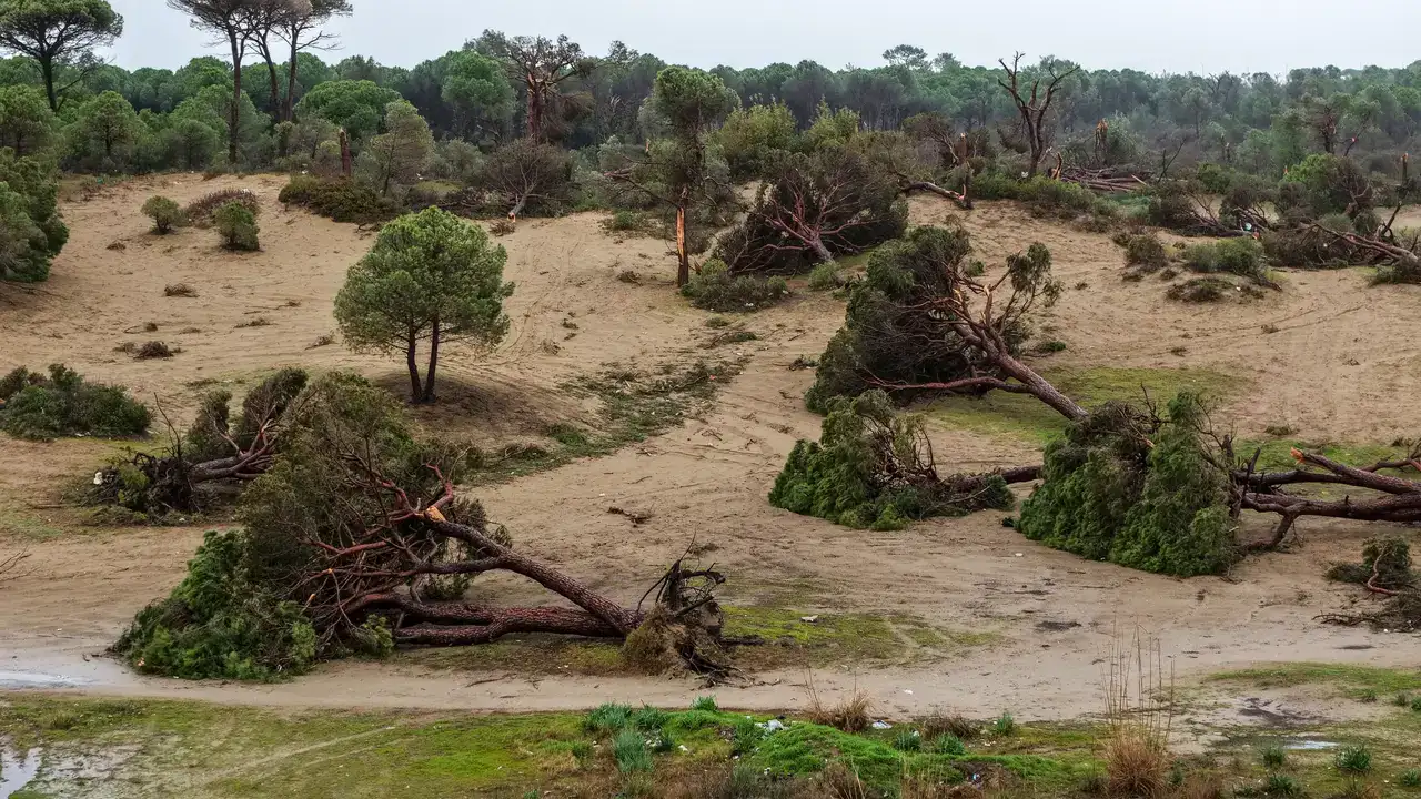 Aksu’da Hortum Felaketinin İzleri Siliniyor 6